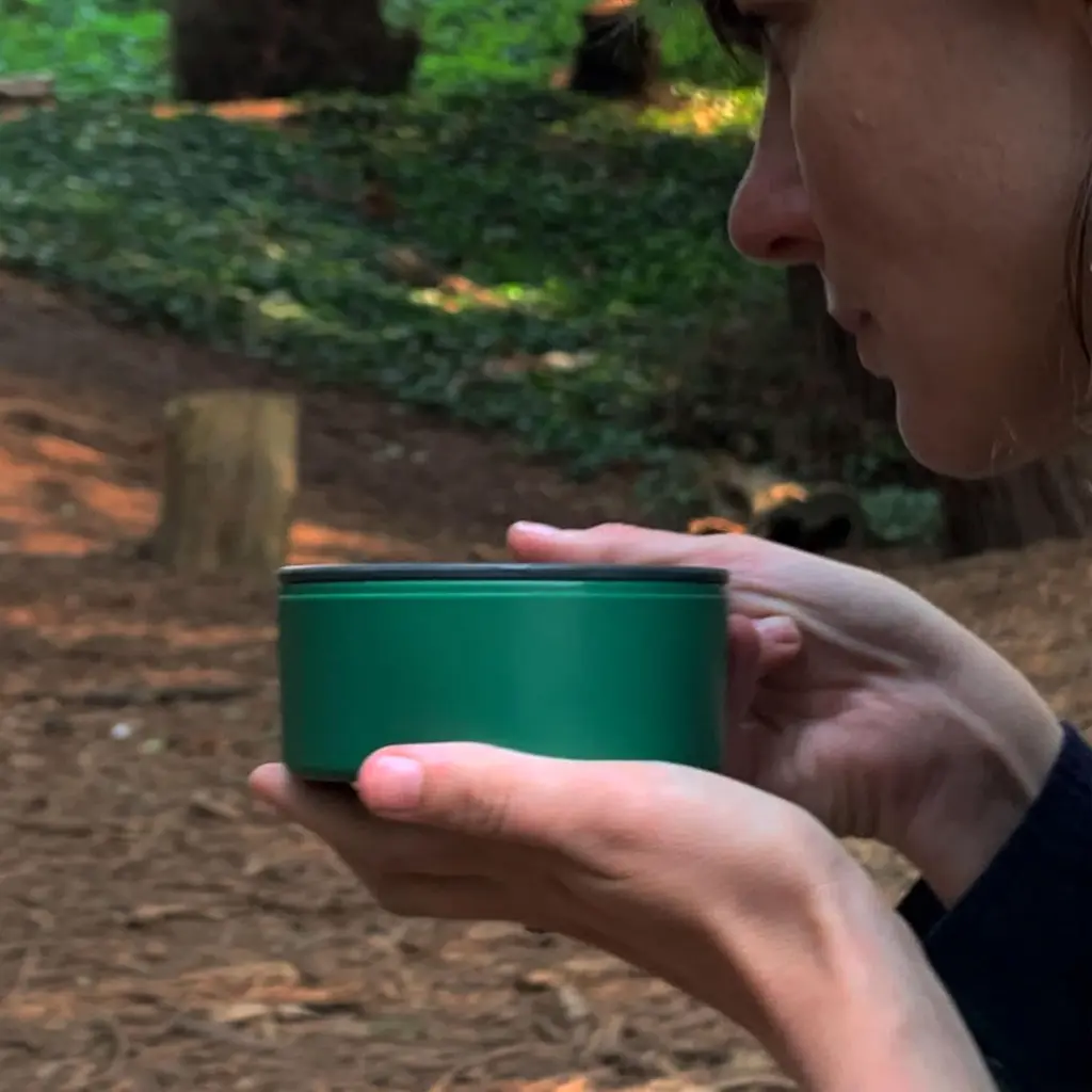 81V0xvWcDzL._AC_SL1500_ (1).webp