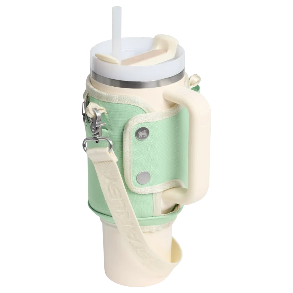 Web_PNG_Square-The All-Day 40oz Quencher Carry-All -Pistachio - Hero Back.webp