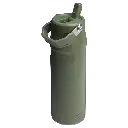 Web_PNG_Square-The IceFlow Aerolight Bottle Flip Straw 2.0 24OZ - Dried Pine - Hero Back.webp