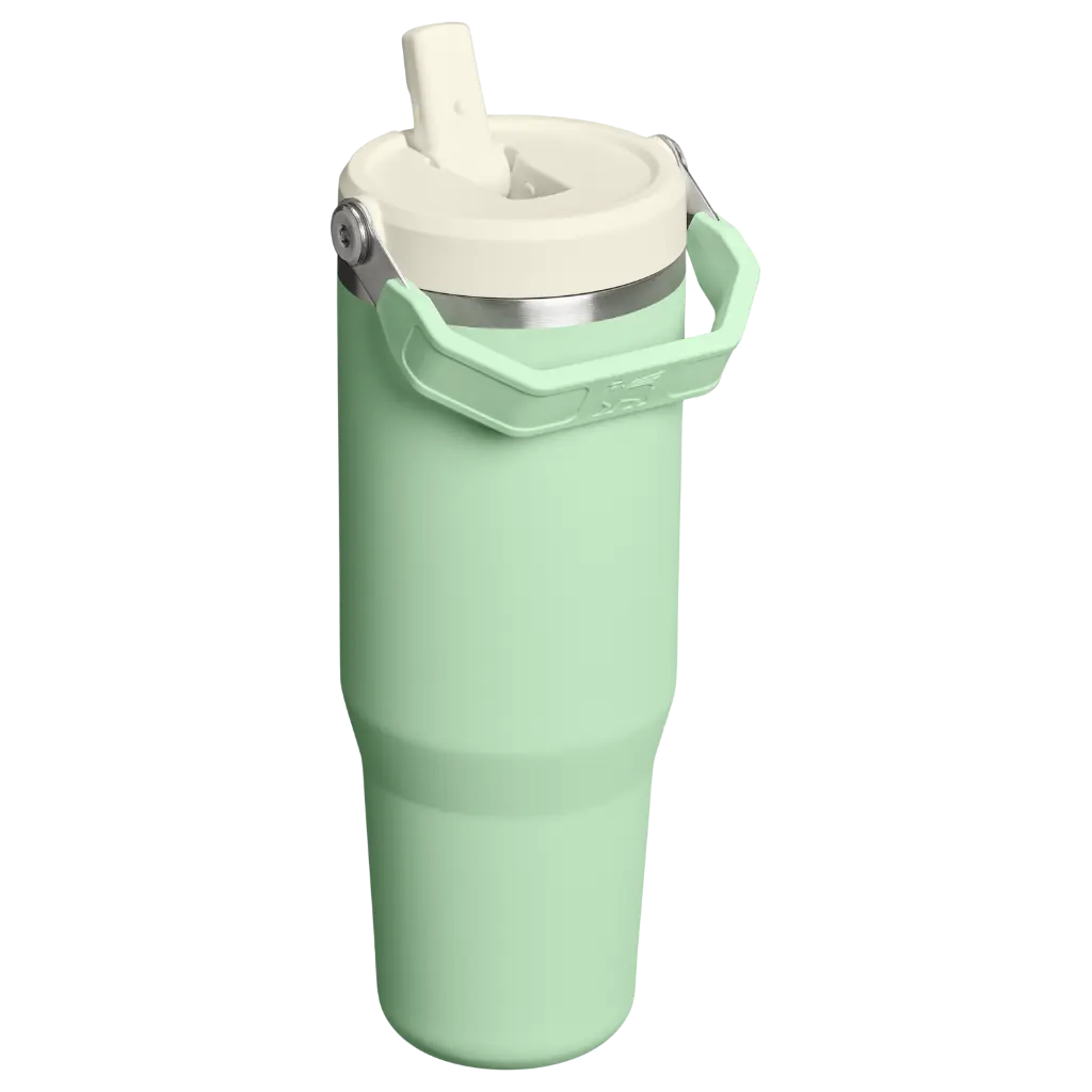 Web_PNG_Square-The IceFlow Flip Straw 2.0 Tumbler 30OZ - Pistachio - Hero Back.webp