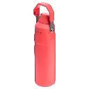 Web_PNG_Square-TheIceFlow_Aerolight_BottleFastFlow24OZ-HotCoral-HeroBack.webp