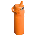 Web_PNG_Square-2025-06-24_The IceFlow™ Aerolight™  Bottle Flip Straw 2.0 24OZ - Goldenrod Coral - Hero Back.webp