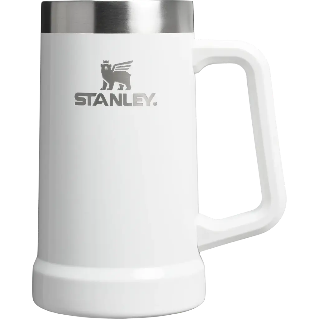 Stay Chill Stein 0.7L / 24oz